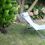 Maria's Haven Vakantiehuis *