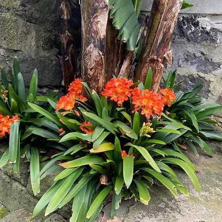 Сasa de vacaciones Maria's Haven