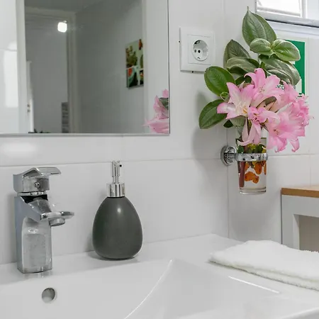 Maria's Haven Ferienhaus Santo Antonio (Sao Miguel)