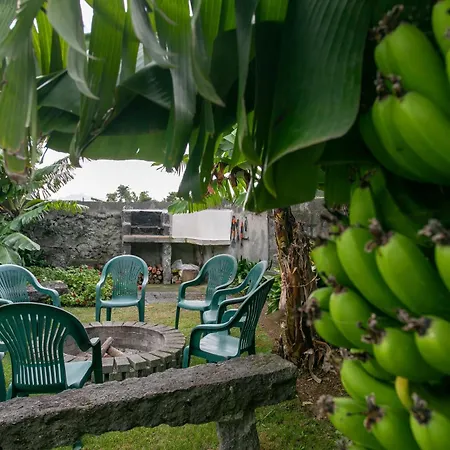 Maria's Haven