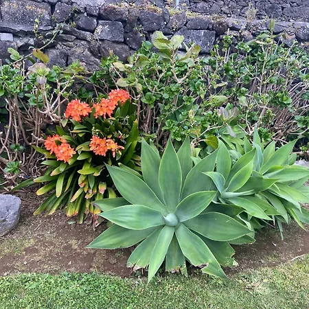 Maria's Haven Σπίτι διακοπών